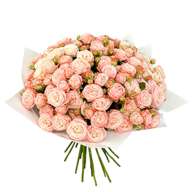 Букет из 29 кустовых роз, доставка Хороль (Прим. Кр.)